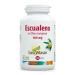 Actibios Equalene 60 Beads 1 Piece 250 g