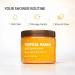 Mango Scent Body Scrub with Sugar and Shea Textured Exfoliating Body Care Cream for Routine Skin Use Wide Jar Format 18 oz - Buy Online on GoSupps.com