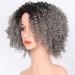 Rainbow Snow Curly Wig for Women - Afro Gray Mix Synthetic Hair with Dark Roots | Heat Resistant Short Ombre Wig for Daily Wear - Buy Online on GoSupps.com