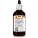 Gotu Kola (Centella Asiatica) Dry Leaf Tincture, Made in Hawaii, Organic Raw Materials, All Natural, Vegan, Pure Liquid Extract - 4 fl.oz 4 Fl Oz (Pack of 1) - Buy Online on GoSupps.com
