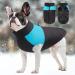 FEimaX Waterproof Dog Coat Winter Jacket for Small Medium Large Dogs - Blue | Windproof Outdoor Pet Apparel with Soft Padding and D-ring Harness Attachment - 3XL - Buy Online on GoSupps.com