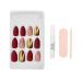 Ardell Nail Addict - Red Cat Eye | 24 Press-On Artificial Nails with Glue & File | Long Tips for Beautiful Fingernails - Buy Online on GoSupps.com