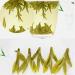 LWXLJMJZC-25 cups Superior Long Jing (Dragon Well) Green Tea Spring Xihu Longjing Green Tea Chinese Loose Leaf Green Tea-50g 50g Superior Long Jing Green Tea - Buy Online on GoSupps.com