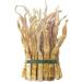 Natural Pure Bamboo Shoot Jerky Roasted Crispy and Tender Bamboo Shoot Jerky Wild Bamboo Shoot Jerky 250g/bag Soup Ingredients Green Vegetarians Chinese Specialty Bamboo Shoots (3bag) - Buy Online on GoSupps.com