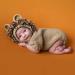 M&G House Lion Costume Newborn Photography Props for Baby Photo Shoot (0-2 Months) - Lion Outfit - Buy Online on GoSupps.com