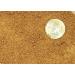 Buy Dragon BioCal Yellow/Red 5kg - Premium Calcium Carbonate Substrate for Aquariums & Terrariums | International Shipping - Buy Online on GoSupps.com