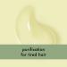 Buy Love Beauty and Planet Tea Tree Oil & Vetiver Shampoo 400ml - Nourishing & Eco-Friendly Hair Care - Buy Online on GoSupps.com