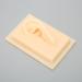Human Ear Model - Comfortable Lightweight Soft Silicone for Teaching Demonstrations (Left) - International Shipping Available - Buy Online on GoSupps.com