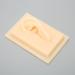 Silicone Ear Model Vivid Shape Durable Wearable Comfortable Soft Human Ear Model Glossy Texture Safe Practical for Teaching Demonstration(Left) - Buy Online on GoSupps.com