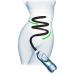 YTWF conveniently connect anal cleaning to bottle |Colon cleaning set |Inlet set inlet set for intestinal inlet |Coloring input for internal cleaning