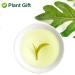 Plantgift Jasmine Dragon Pearls Tea 130g - Premium Green Tea & Oolong Blend - Best Jasmine Tea for a Soothing Experience | International Shipping - Buy Online on GoSupps.com