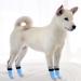 Buy Pupeck Double-Sided Anti-Slip Dog Socks with Adjustable Straps | 2 Pairs of Indoor Dog Shoes for Paw Protection | Traction Control for Hardwood Floors - Blue - Buy Online on GoSupps.com