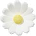 G nthart 60 White Sugar Daisies - Premium Cake Decorations for International Shipping - Buy Online on GoSupps.com