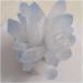 Blue Ghost Phantom Quartz Crystal Cluster Specimen kaixun (Size : 401-500g) - Buy Online on GoSupps.com