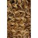 Outre Daily Wig Hand-Tied Lace Part Wig Kimbra (DRCAR) - Premium Lace Front Wig - Buy Online on GoSupps.com