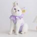 Yeapeeto Cat Recovery Suit | E-Collar Substitute for Cats | Prevent Licking Abdominal Wounds | Breathable & Warm After Surgery | Purple S - Buy Online on GoSupps.com