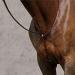 Suffolk by Dover Saddlery Raised Standing Martingale, Pony-P/S, Brown
