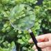 Handheld Magnifier 90mm Portable Student Lab Glass Magnifier HD Reading Mirror 90mm Magnifier Compatible with Reading Good Times - Buy Online on GoSupps.com