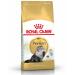 Royal Canin Persian Adult Dry Cat Food 10kg