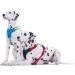 Buy HUNTER Neoprene Dog Harness - Adjustable Nylon & Padded - Red/Black L 72-91 cm | International Shipping - Buy Online on GoSupps.com