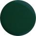 Nail HQ Colour Forest 10ml Green 10 ml (Pack of 1) - Buy Online on GoSupps.com