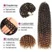 Buy Passion Twist Hair - 18 Inch Faux Locs Crochet Extensions | T27 & T1B-27# | 6 Packs Economy Bundle for International Shipping - Buy Online on GoSupps.com