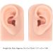 Silicone Piercing Model - Simulated Human Skin Ear Model (Light Skin) for Teachers & Salons | International Shipping - Buy Online on GoSupps.com