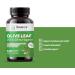 Balance Breens High Strength Olive Leaf Extract 750mg - 120 Vegetarian Capsules - Cardiovascular & Immune Support - Buy Online on GoSupps.com