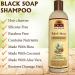 OKAY African Black Soap Shampoo 12oz - Nourishing & Moisturizing Hair Care | International Shipping Available - Buy Online on GoSupps.com
