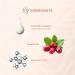 DHAR TIKA Night Cream - Anti-Aging & Nourishing Enriched with Ceramide Complex & Rosehip Oil - Buy Online on GoSupps.com