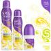 Soft & Gentle Citrus Twist Anti-Perspirant Roll On Deodorant 100ml - Pack of 1 - Buy Online on GoSupps.com