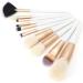 Makeup Tool Cosmetic Brush 10pcs Brush Professional Foundation Brush Portable for Girl Cosmetic Artist Women Professional - Buy Online on GoSupps.com