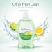 Citrus Scent Liquid Hand Soap for Everyday Hand Washing Smooth Hand Wash for Home Kitchen or Bathroom Use Pump Bottle 11.25 fl oz - Buy Online on GoSupps.com