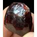Natural Crystal Rough Decoration 40-50g Natural RED Pyrope Garnet Gemstone Rough Specimen - Buy Online on GoSupps.com
