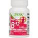 Deva Nutrition Vegan Sublingual Fast Dissolve B-12 Tablets, 2500 mcg, 90 Count (Pack of 1)