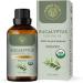 Carno Calm Eucalyptus Oil for Diffuser | 100% Pure and Natural Eucalyptus Essential Oil | for Aromatherapy Bath Humidifier Hair | 30ml Eucalyptus 30 ml (Pack of 1) - Buy Online on GoSupps.com