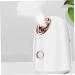 Hemoton Water Replenishing Instrument Steamer Facial Treatment Tool Facial Mist Sprayer Skin Care Nano Face Humidifier Mist Humidifier Face Steamer Facial Steamer - Buy Online on GoSupps.com