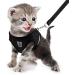 Femax Dog Harness & Linen Set: Soft Mesh Reflective Adjustable Breastware for Dogs & Cats - Perfect for Walking & Training (30-34 cm Black) - Buy Online on GoSupps.com