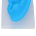 Reusable Silicone Left Ear Model for Teachers - School Ear Piercing Model with Transparent Base - Buy Online on GoSupps.com