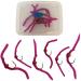 Thor Outdoor San Juan Worm - 6 Pc Trout Fly Fishing Set - Beaded Pink, Hook Size #14 - Wet Nymph Fly Ideal for Panfish and Trout