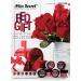 Mia Secret Red Gift Nail Art Powder Collection - 6 Piece Set, 1/4 oz Each - Buy Online on GoSupps.com