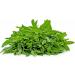 Spearmint Moroccan mint leaves 50g all natural Mentha spicata var. cripsa Dried loose Leaves. - Buy Online on GoSupps.com