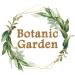 Botanic garden Pure Brahmi Sada Raw Herb | Bacopa Monnieri | Thyme-Leaved Gratiola - 500gms - Buy Online on GoSupps.com