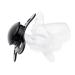 LittleForBig Bigshield Gen-3 Single Big Pacifier in Black - Buy Online on GoSupps.com