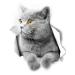 3D Cat Closestool Stickers Toilet Seat Decal Removable Wall Decal