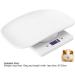 Digital Scales KIMISS 10kg/1g Digital Small Pet Weight Scale Portable Electronic Scale for Cats Dogs Measure Tool Electronic Kitchen Scale - Buy Online on GoSupps.com