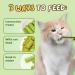 Kittygreen Sticks Kittygreen Cat Grass Teething Stick Cat Grass Chew Sticks for Hairball Removal and Cat Teeth Cleaning Natural Cat Grass Sticks Promotes Digestive & Increases Appetite (12PCS) - Buy Online on GoSupps.com