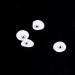 EBTOOLS 10pcs 2mm Dental Tooth Crystal Ornaments - White Teeth Jewelry Decoration with Jewel Twinkle Box - Buy Online on GoSupps.com