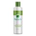 Multi-Purpose Treatment Concentrate and Deodorizer - Non-Toxic Odor Eliminator and Absorber - 16oz.
