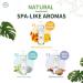 Natural Stain Remover Detergent for Underwear & Lingerie - HH Herb & Health Laundry Wash for Blood Sweat & Discharge - Buy Online on GoSupps.com